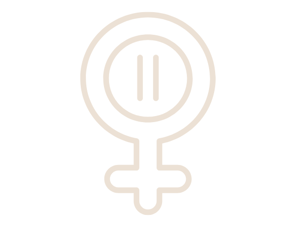 Sintomas da Menopausa